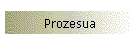 Prozesua