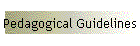 Pedagogical Guidelines