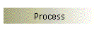 Process