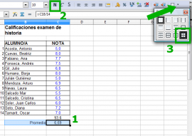 Formato