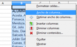 Ancho de columna