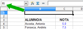 Denominación celda