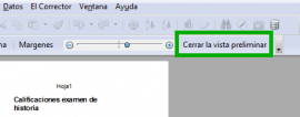 Cerrar Vista preliminar