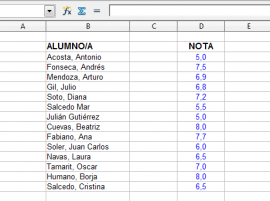 Columna ampliada