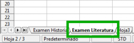 Nuevo nombre hoja