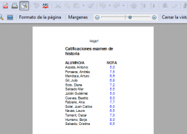 Vista preliminar