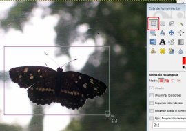 Mariposa en Gimp: opción selección