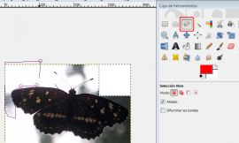Mariposa en Gimp: opción selección libre