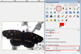 Mariposa en Gimp: suprimir selección