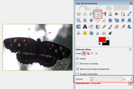 Mariposa en Gimp: selección difusa