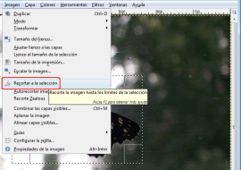 Mariposa en Gimp: opción recortar