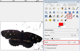 Mariposa en Gimp: opción Borrador