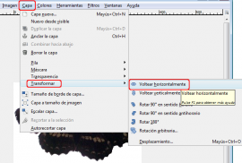 Opciones menú Capa: Transfomar