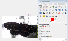 Mariposa en Gimp: opción suprimir